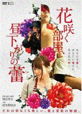 我的解放日志 韩剧治愈剧集封面